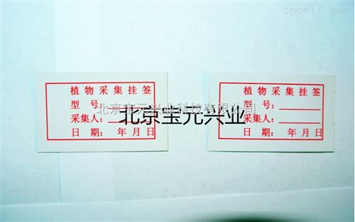 昆虫标签、昆虫定名签