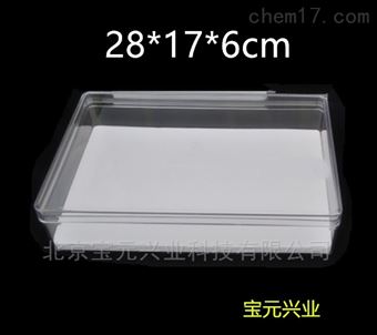 BY2817鼠类标本盒亚克力